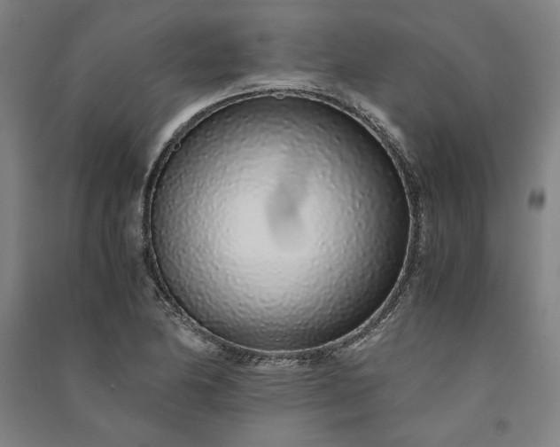 X0000091101174200708201513