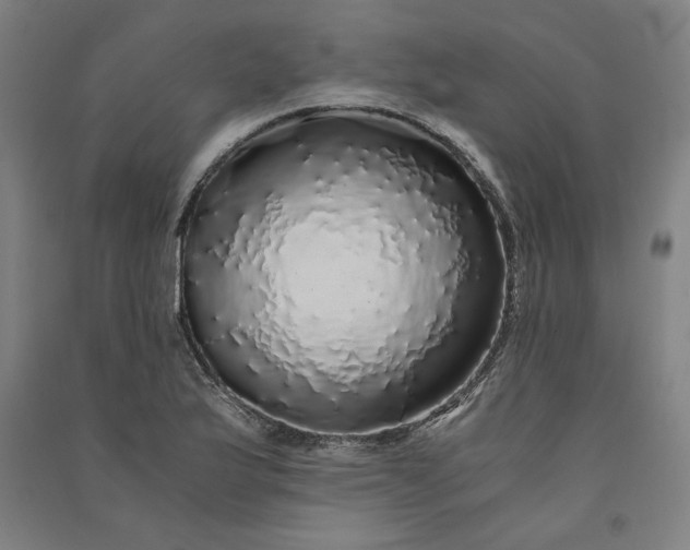 X0000091101175200708201513