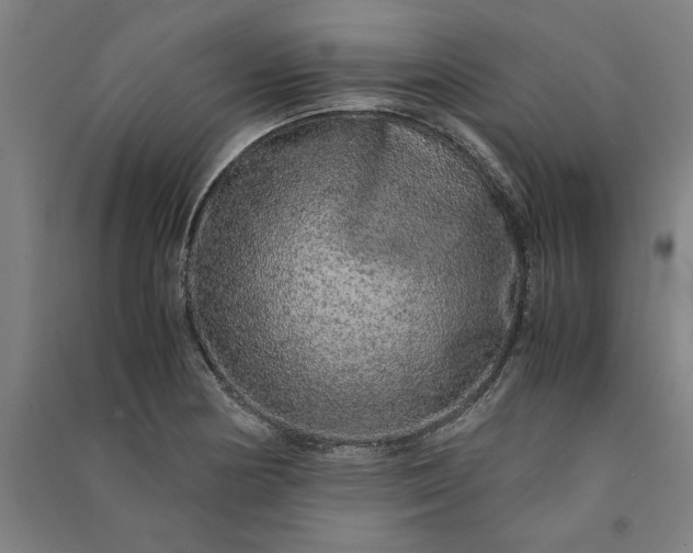 X0000091101178200708201513