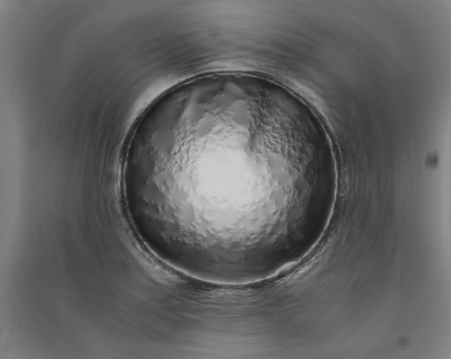 X0000091101179200708201513