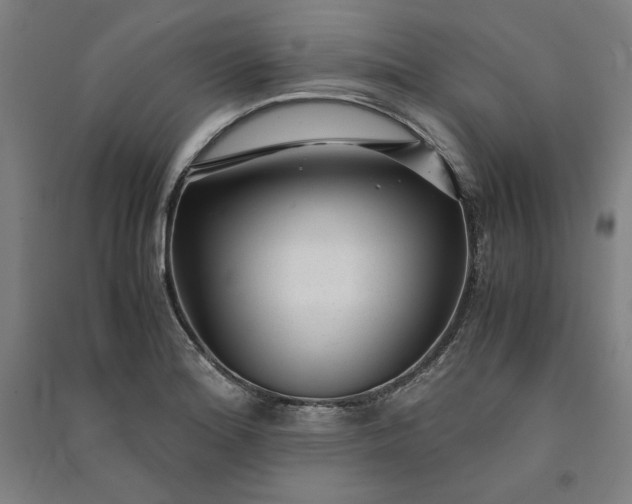 X0000091101180200708201513