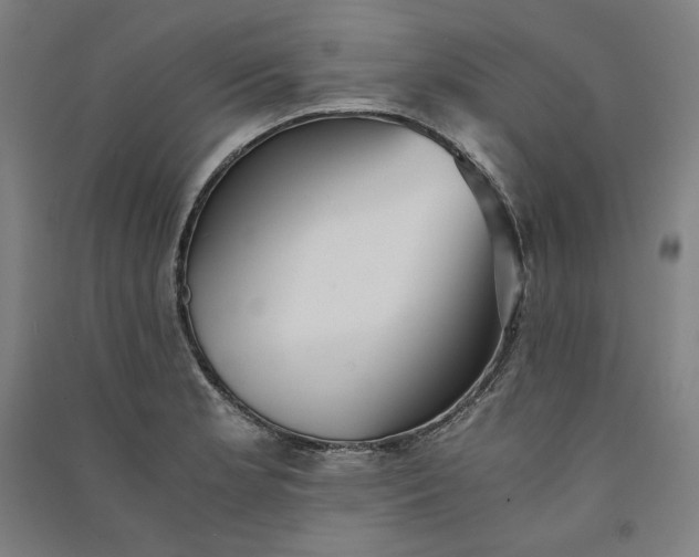 X0000091101181200708201513