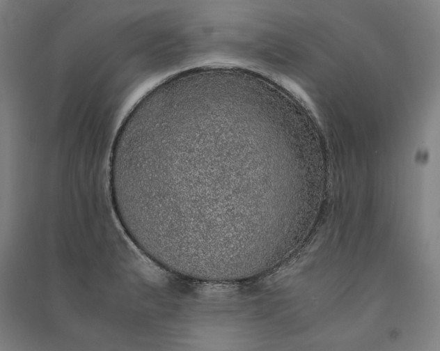 X0000091101183200708201513