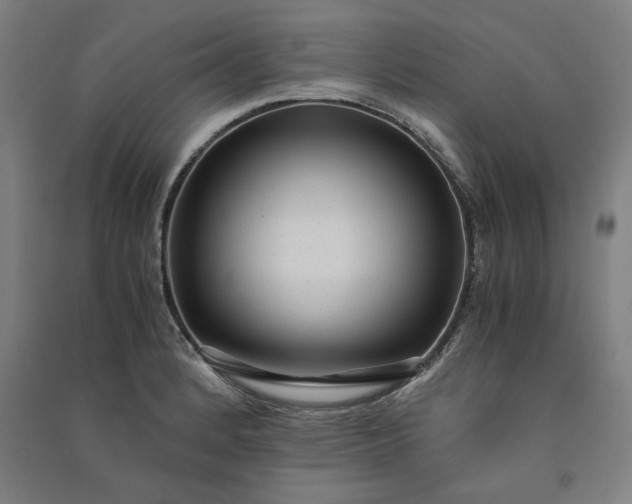 X0000091101184200708201513