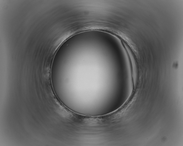 X0000091101185200708201513