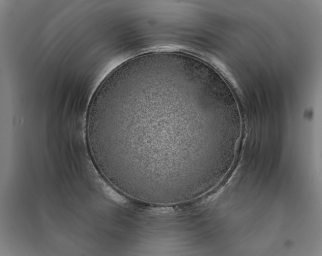 X0000091101186200708201513