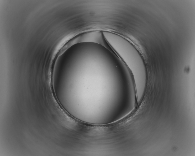 X0000091101188200708201513