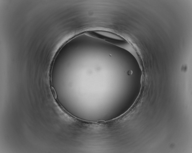 X0000091101189200708201513