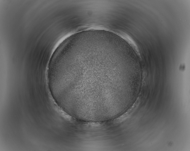 X0000091101190200708201513