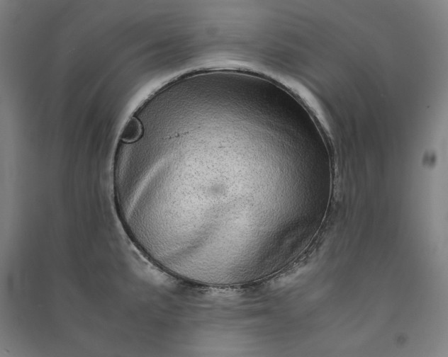 X0000091101191200708201513