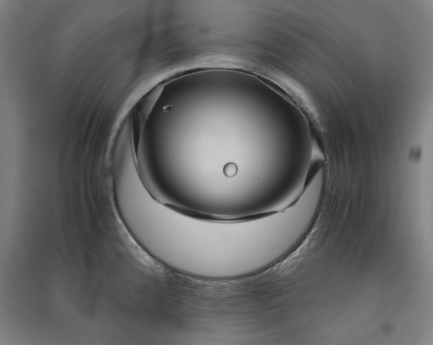 X0000091101192200708201513