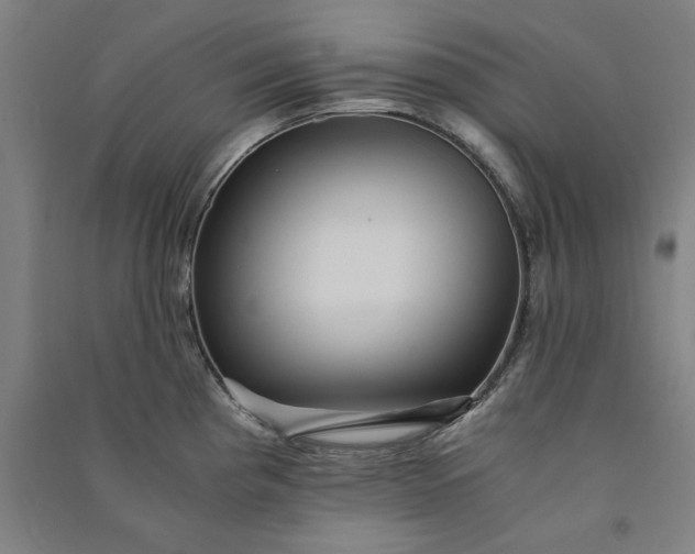 X0000091101193200708201513