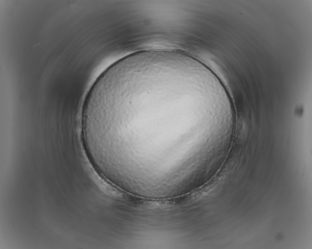 X0000091101195200708201513