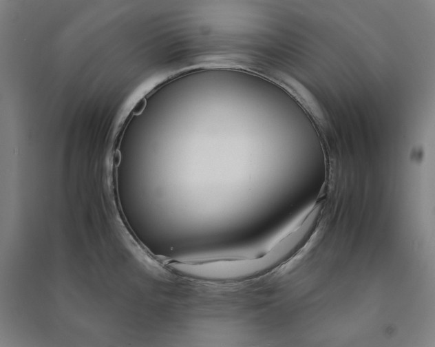 X0000091101196200708201513