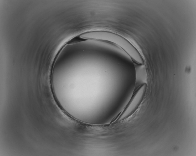 X0000091101197200708201513