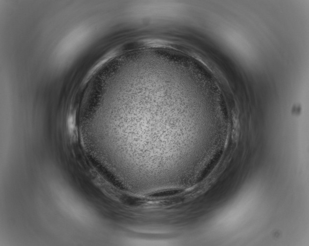 X0000091101198200708201513