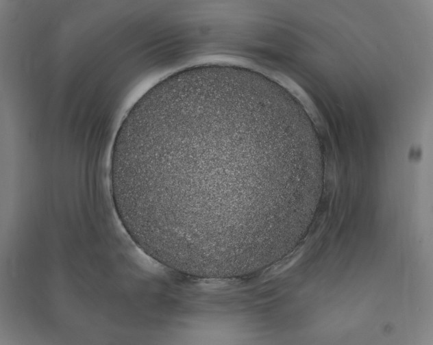 X0000091101199200708201513