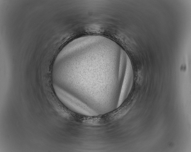 X0000091101201200708201512