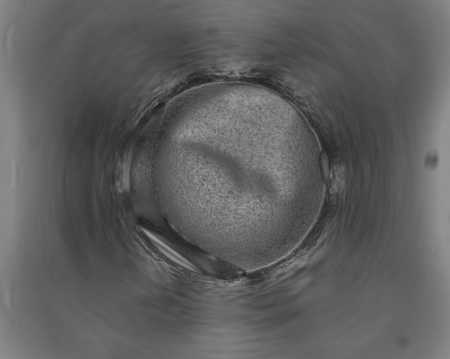 X0000091101202200708201512