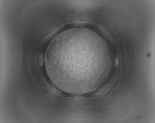 X0000091101204200708201512