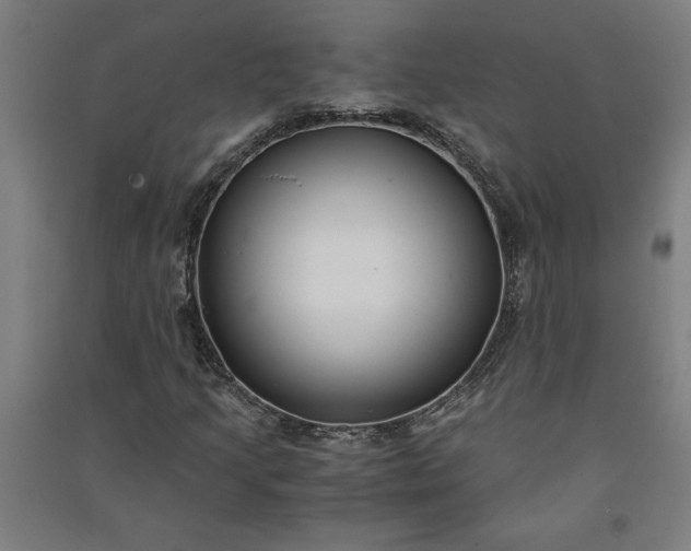 X0000091101205200708201512