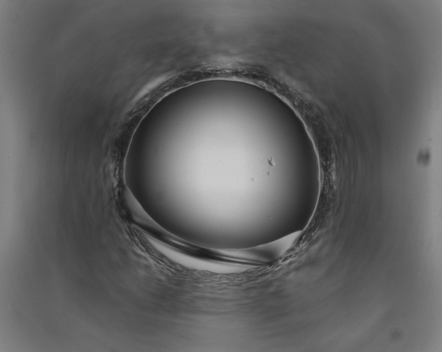 X0000091101206200708201512