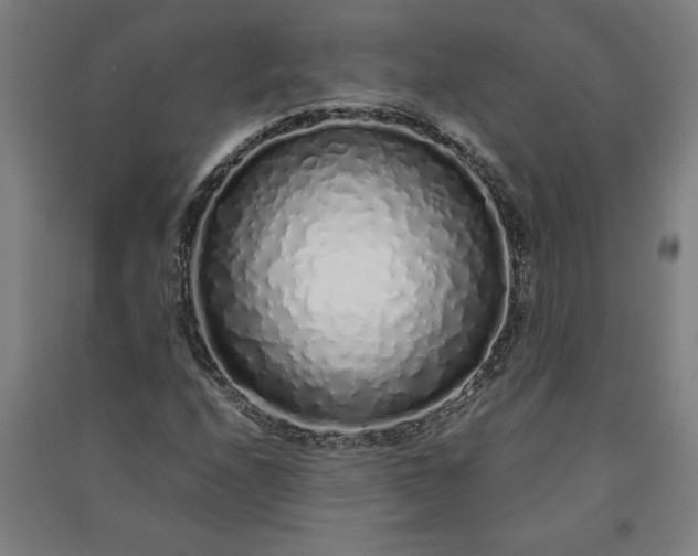 X0000091101208200708201512