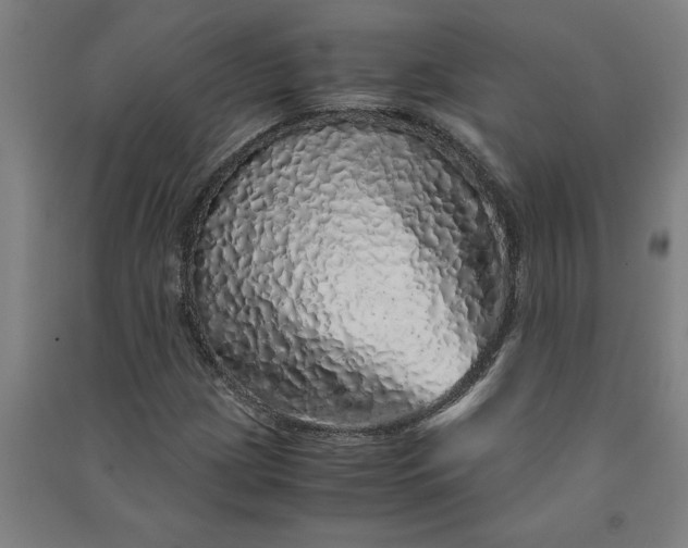 X0000091101209200708201512