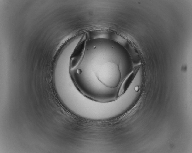 X0000091101210200708201512