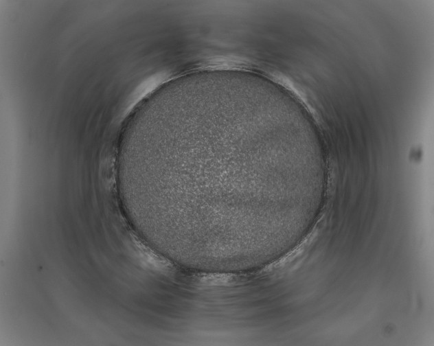 X0000091101211200708201512