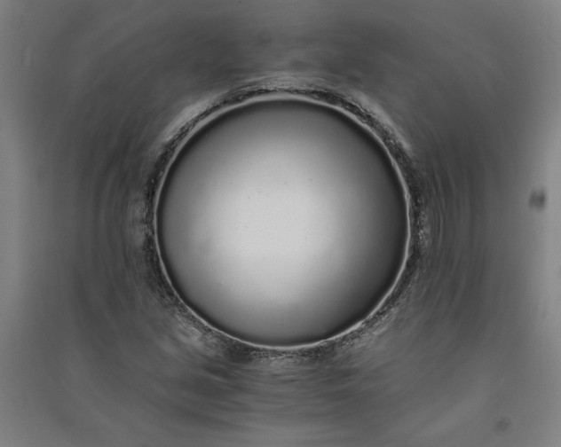 X0000091101213200708201512