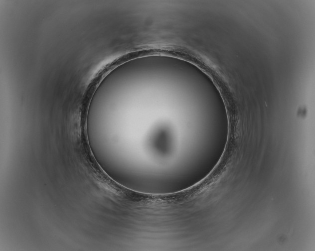 X0000091101214200708201512