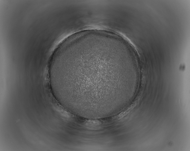 X0000091101215200708201512