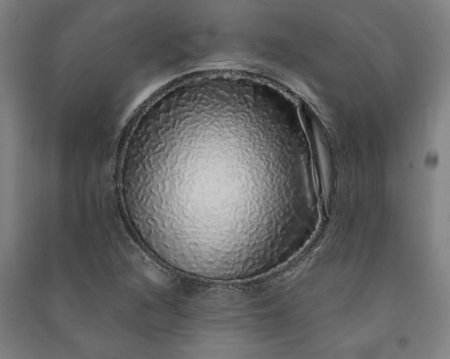 X0000091101216200708201512