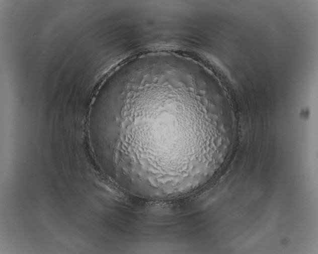 X0000091101217200708201512