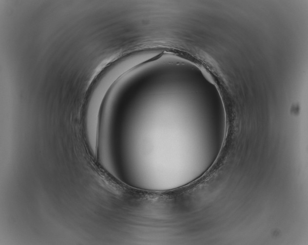 X0000091101218200708201512