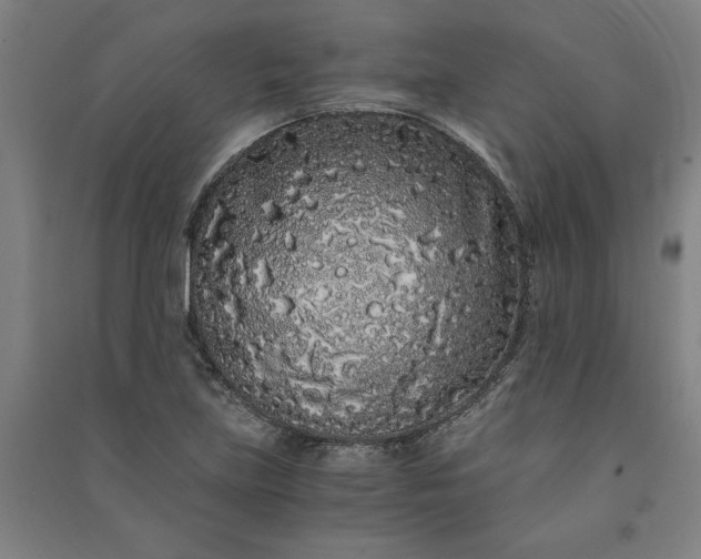 X0000091101219200708201512