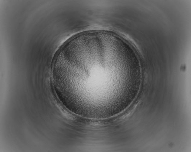 X0000091101220200708201512