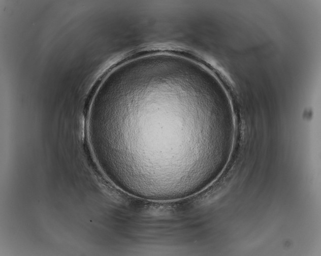 X0000091101221200708201512