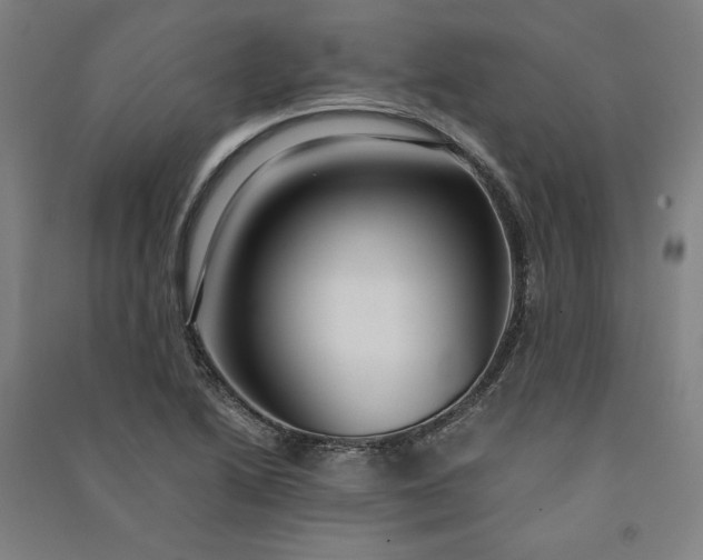 X0000091101222200708201512