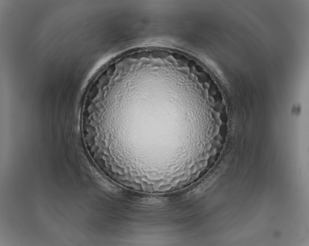 X0000091101224200708201512