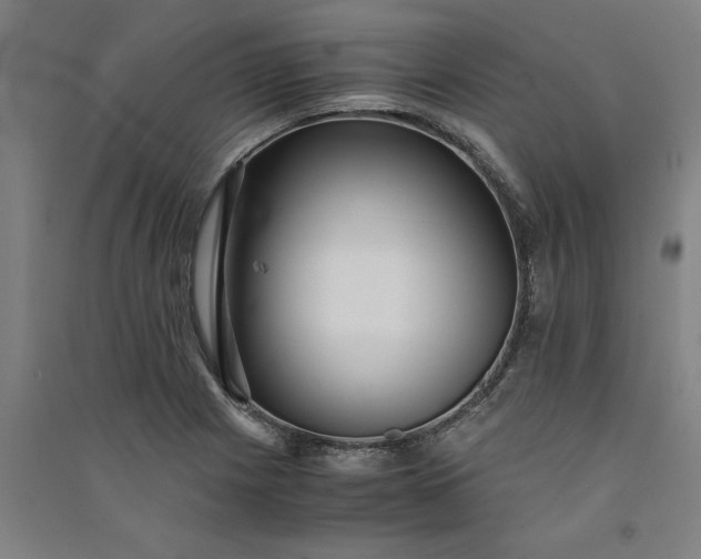 X0000091101225200708201512