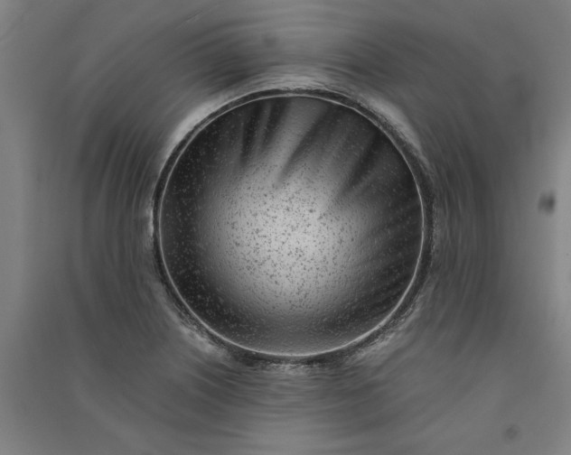 X0000091101226200708201512