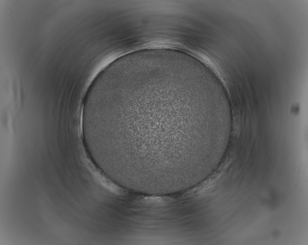 X0000091101227200708201512