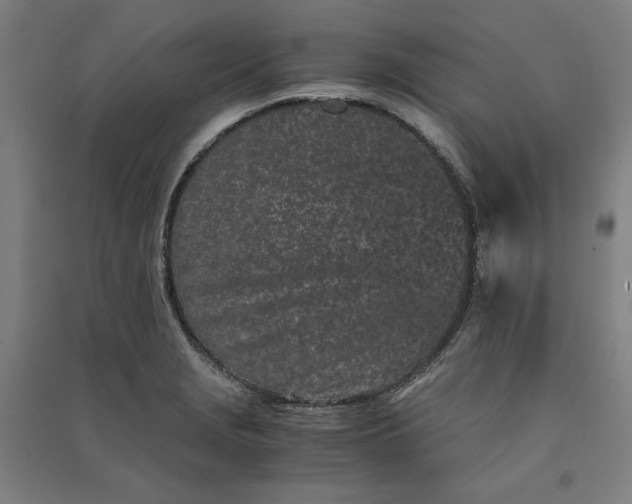 X0000091101229200708201512