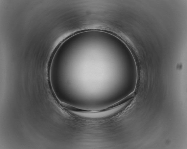 X0000091101230200708201512