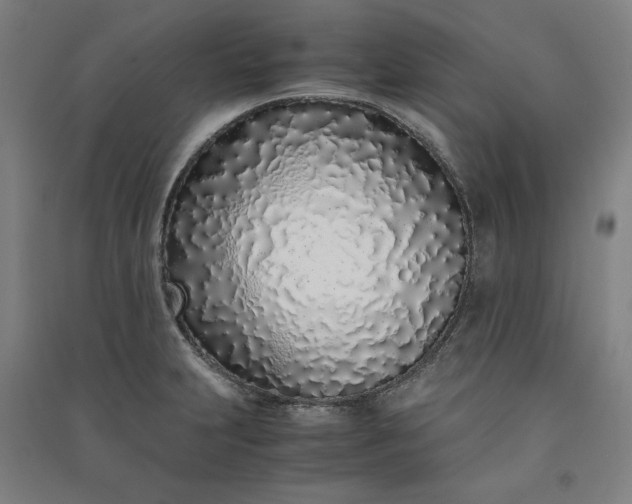 X0000091101231200708201512