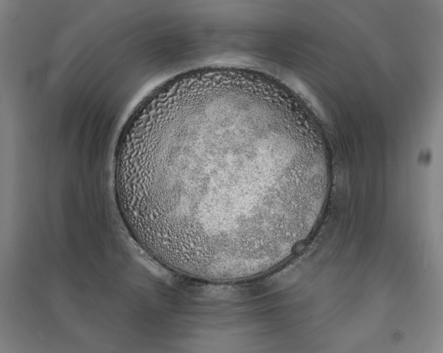 X0000091101232200708201512