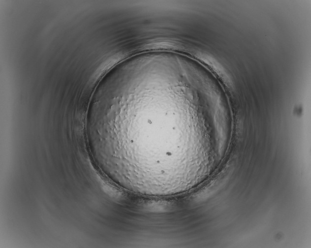 X0000091101233200708201512