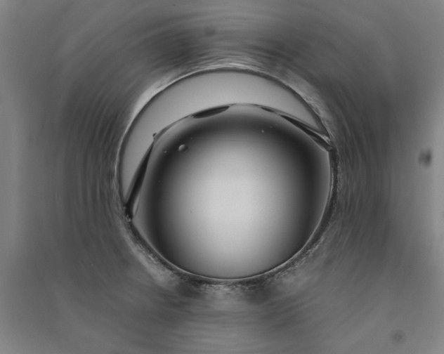 X0000091101234200708201512